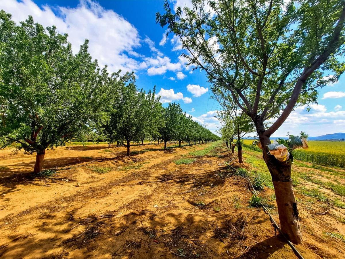 בית קסום בשדה נחמיה Villa ภายนอก รูปภาพ
